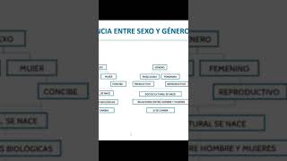 Diferencia entre género, expresión de género y preferencia sexual