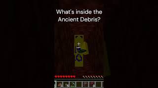 What's inside the ancient debris?  #minecraft #memecraft #meme