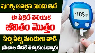 షుగర్ కు విడాకులు ఇచ్చే మందు ఇదే | Top Medicine For Diabetes | Shaik Nabhi Rasol Ayurvedic | ManamTV