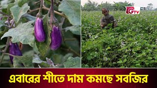 এবারের শীতে দাম কমছে সবজির | Winter Vegetables | Naogaon Farmers | Bazar Update  | Gtv News