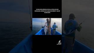 LOS MEJORES SEÑUELOS PARA JIGGING #pescaderia #fishing #pescando #pesca #fish #viral #viralvideo