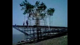 My Trip to Diu with my friend - i seen artificial tree set of for movie | WELLCARE ENTERTAINMENT