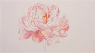 Drawing a Flower