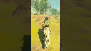 Wow, that jump was actually INSANE... #shorts #botw #botwshorts #nintendo #zelda #viral