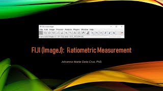 FIJI (ImageJ): Ratiometric Measurement