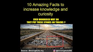 10 amazing facts to increase knowledge and curiosity