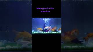 mere ghar ka fish aquarium #hindirhymes #natkhatbobo #jugnukids #love #trending #instagood #india