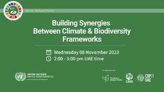 Building Synergies Between Climate Biodiversity Frameworks