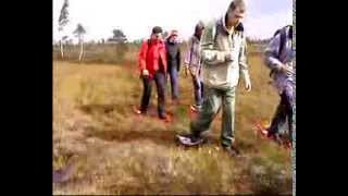 Bog-Shoeing in Soomaa national park.AVI