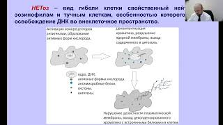 Лекция: АВП. 15.12.20 - 14.15-15.50