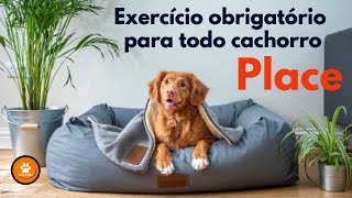 PLACE - O exercício OBRIGATÓRIO para todo cachorro