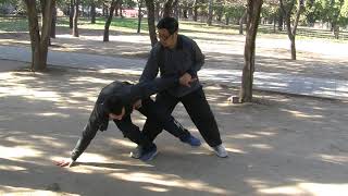 Master Xu Shi Xi, Yin Style Baguazhang Footwork Applications