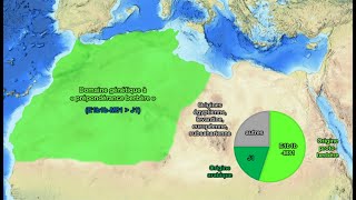 Les Maghrébins sont-ils arabes ou berbères? Synthèse des apports historiques