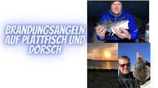 Brandungsangeln auf Plattfisch und Dorsch, Ostsee 2019