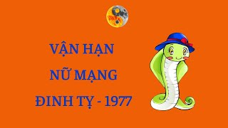 Nữ Đinh Tỵ 1977 - Tử Vi & Vận Hạn 6 tháng Đầu Năm Nhâm Dần 2022