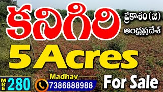 5 ACRE PROPERTY | FARM LAND FOR SALE | Near KANIGIRI - PRAKASAM DT| MedhanshiRealEstate| 7386888988