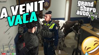 Fondatorul face troll la sectia de politie! 😂