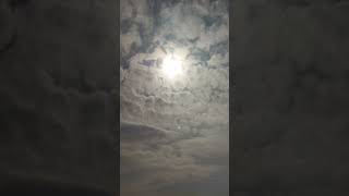 Eclipse solar anular 2023 cdmx11:47am #shorts