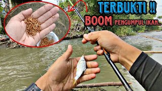 Pakai Trik ini Biar Ikan nya Pada kumpul ||Dijamin Bakalan Strek Bertubi tubi (micro fishing)