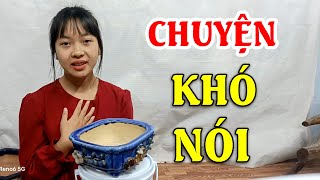 Nỗi Lòng Khó Nói của Em Gái Bán Chậu Gốm Online Xinh Xắn