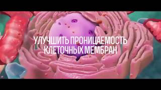 "Абсолют Энерджи" (официальный ролик от компании "Imagine People")