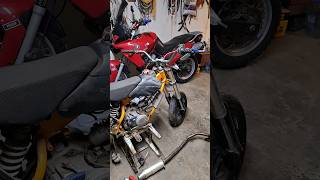 Pitbike Forsage 160 | Начал разборку питбайка🔥