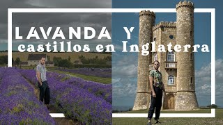 Campos de Lavanda  😱 y Broadway tower | Puebleando por Inglaterra 07