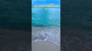 The Beaches of Bermuda