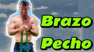 Entrenamiento pectoral y brazos