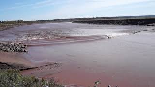 Tidal bore surfing on the Petitcodiac, @ Moncton. October 4, 2020