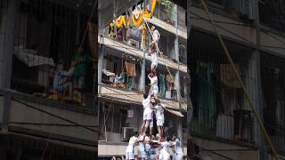 Dahi Handi Festival 2023 #shorts #latestshorts