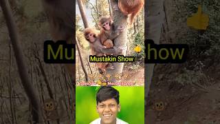 a monkey🐒is talking😂to another monkey🐒climbing a tree🌲#shorts#youtubeshorts#monckey#animal#trending#