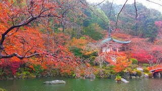 Gorgeous Autumn in Japan, pictures were taken in September 2015.