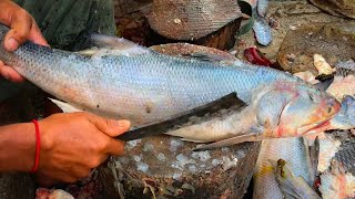 Amazing Fish Cutting Techniques - Fish Cutting Skills in Fish Market | Fish cutting in Nepal |