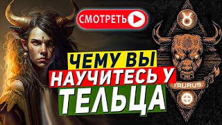 Чему вы научитесь у Тельца