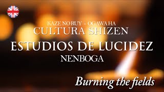 Studies of Lucidity - Shizen Culture - Moerubo - Burning the Fields - Nenboga - Ogawa Ryu