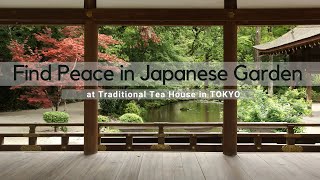 Japanese Garden in Tokyo for peace and relaxation