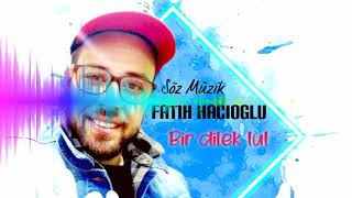 Fatih Hacioglu -  Bir dilek tut ( Official Audio )