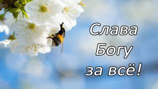 Слава Богу за все | Стих | МСЦ ЕХБ