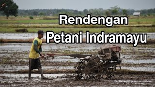 RENDENGAN Petani Indramayu Menjelang Musim Tanam Padi