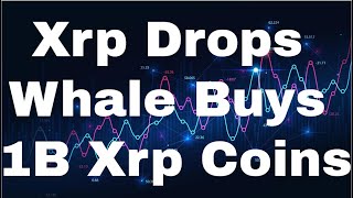 Ripple Xrp News Today Xrp Ripple Xrp Price Prediction Xrp [January] - Xrp Drops Whale Buys 1B Xrp