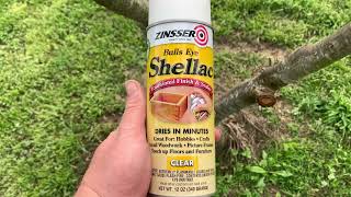 Zinsser Bulls Eye Shellac makes a great pruning sealer