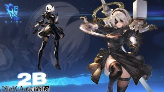 Granblue Versus Rising - 2B matches