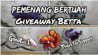 PEMENANG GIVEAWAY BETTA!!! Are You Ready???