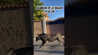 Encierro Alameda de la Sagra 17-8-23 #encierro #toros #españa