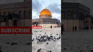 Al Aqsa #vairl #vlog #islam #history #shorts #warzone