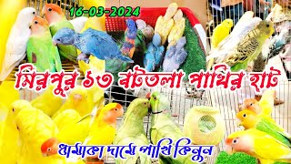 ধামাকা দামে পাখি কিনুন | মিরপুর ১৩ নাম্বার পাখির হাট | mirpur 13 pakhir hat | আরিফ ভাইয়ের পাখি |