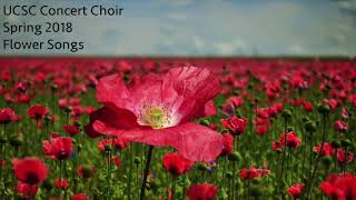 Morten Lauridsen - Les Chansons des Roses