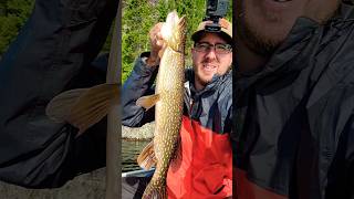 Northern Pike, Catch and Release!