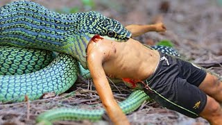 primitive technology - easy snake trap using plant catch big snake in hole #snaketrap